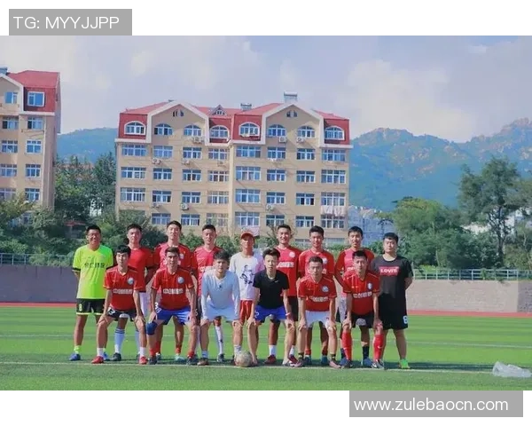 重庆足球队团队协作深度解析及对比分析报告